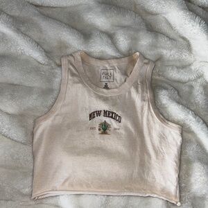 embroidered cropped graphic tee